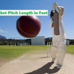 Cricket Pitch Length in Feet