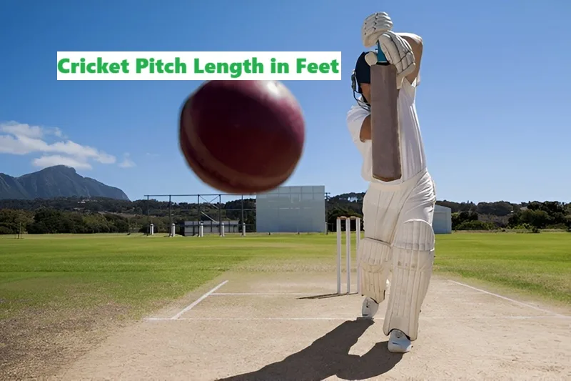 Cricket Pitch Length in Feet
