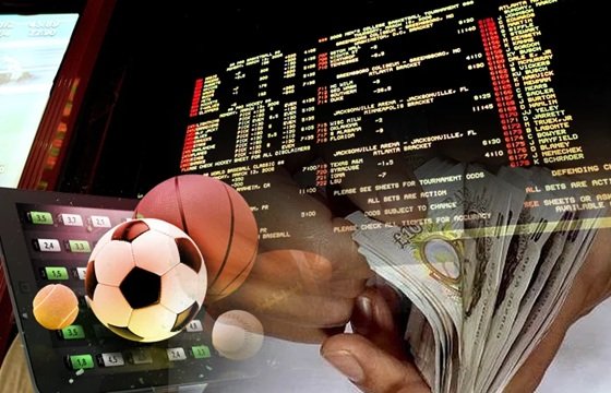 india’s online betting market booms in february 2026 as competition intensifies