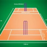 Cricket Pitch Length in Feet